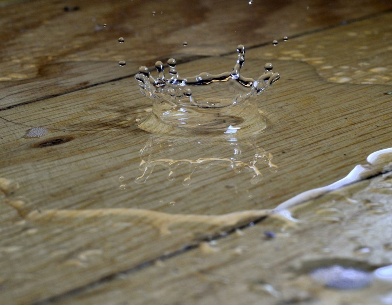 Bautrocknung aus schmallenberg